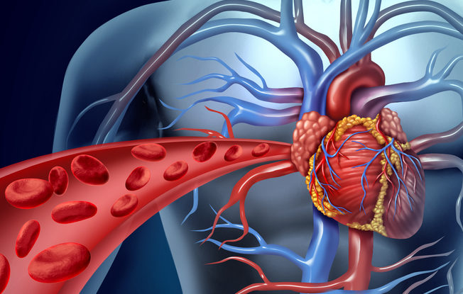 denti-e-cuore